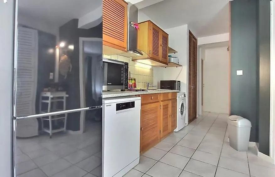 Apartment La Kaz A Malou Appartement De Standing Avec Piscine Et Plage A 800M Les Trois-Ilets